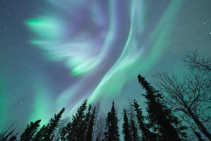 Northern Lights Viewing at Murphy Dome - Photo 1 of 9